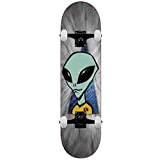 Alien Workshop Visitor Signal Skateboard complet Gris 8,1"