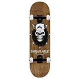 Birdhouse Pro Hale Skull Skateboard complet Marron 8,5"
