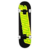 BIRDHOUSE SKATEBOARDS Type Logo Skateboard complet Noir 21 cm