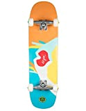 Cruiser Enjoi Skateboard Premium Heart Multi 31,8"