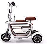 CYGGL Scooter de mobilité électrique à 3 Roues, Tricycle électrique Adulte, avec siège Enfant avec Alarme antivol et Double Absorption ...
