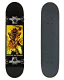 Darkstar Molten Skateboard complet