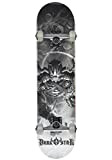 Darkstar Skateboard complet Explode Silver 7.5x31"