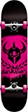Darkstar Skateboard complet Insignia Pink 7.5x31"