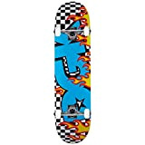 DGK Skateboards Skate on Fire Multi 8.25