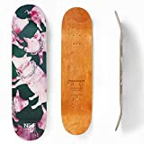 Metropollie Planche de Skate Cochon avec chaîne, Skate pour Enfants Adolescents Adultes débutants, Planche de 7 Couches 100 % Bois ...