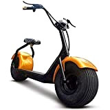 Moule éducatif, Moto électrique de vélo 2000W, Voiture électrique Large de Hachoir de Scooter de Gros Pneu/Scooter Adulte/avec siège/Mile 40Km