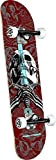 Powell Peralta Skateboard complet Skull and Sword Bordeaux 19,1 x 72,8 cm