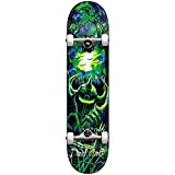 Skateboard Complet, 8.125 x 31.7, Vert/Bleu